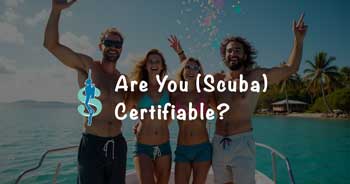 Navigate Your Scuba Diving Certification & Open Water Diver Skills